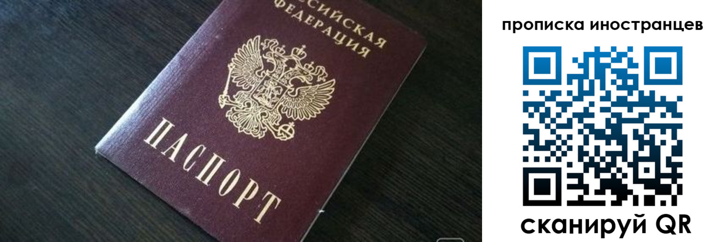 прописка 2025 в Болотном